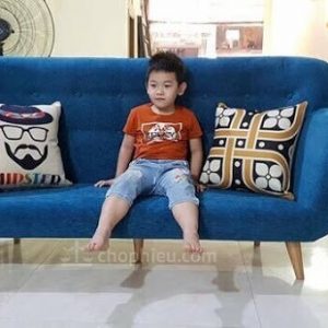 Sofa đệm băng nhỏ loạt 1